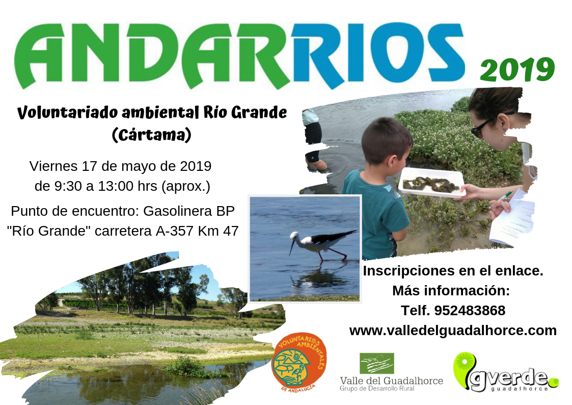 Jornada Andarros 2019 (Ro Grande)